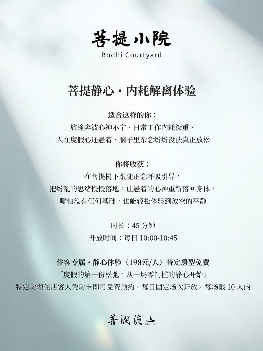 菩提静心·内耗解离体验